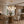 Calvi Alabaster Globe Ring Chandelier 8