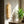 Celvado Alabaster Wall Light 5
