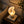 Conch table lamp 3