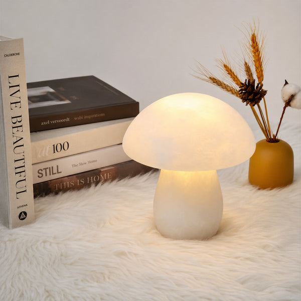 Nolvaryn Mushroom Table Lamp 2